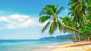 Vrij voor commercieel gebruik ✓ geen attributie noodzakelijk ✓. Urlaub In Thailand In Boutique Hotels Siglinde Fischer