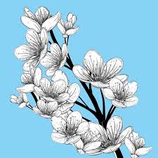 Disegni di fiori semplici a matita in bianco e nero tumblr. Bellissimi Disegni Di Fiori 200 Immagini Da Disegnare