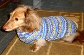 My doggies put on a little weight during the winter months, and they needed a new sweater that could better accommodate their seasonal diameters. Dachshund Sweater Patterns Free Crochet Patterns Crochet Dog Sweater Dog Sweater Crochet Pattern Dog Sweater Pattern