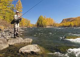 Bass Fishing Free Shipping Fly Fishing Fishing Gifts Fishing Gift Fishing Dad Art Collectibles Figurines Knick Knacks Lifepharmafze Com