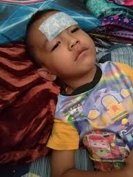 Ambil beberapa helai daun bunga raya dan ramas sehingga hancur. Baca Surah Doa Ini Sebagai Penawar Penyejuk Demam Anak Pa Ma