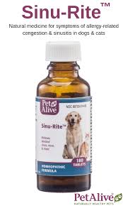 Sinu Rite For Pet Sinus Infections In 2020 With Images Healthy Pets Pets Dog Snacks