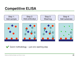 Elisa is a scientist in the offshore, often traveling back to the inland to help people update their registrations. Elisa Enzymed Linked Immunosorbent Assay