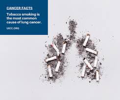 World no tobacco day 2021: Tobacco Control Content Hub Uicc
