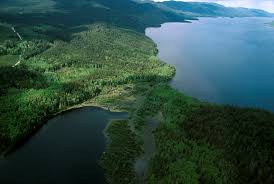 francois lake provincial park and protected area bc parks