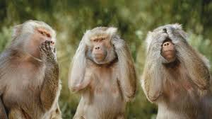 1024 x 595 png 143 кб. Wisdom Of The Three Monkeys The Joy Of Priesthood