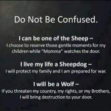 On sheep wolves and sheep dogs sheep sheepdog wolf. Sheep Sheepdog Wolf I M All Of These Warrior Quotes Sheepdog Quotes