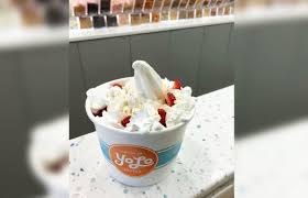 21 yolo frozen yogurt from 25 best