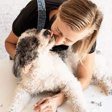 They did a great job with toby (four year old cocker spaniel), cutting him short and getting any knots out, and told me time wise when to expect him to be ready and they were right on time. Puppy Love Grooming By Lynn