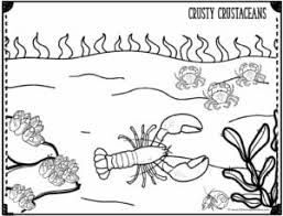 Download or print for free immediately from the site. Free Ocean Coloring Pages