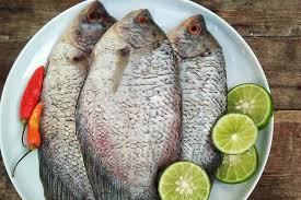 Maybe you would like to learn more about one of these? 4 Cara Pilih Ikan Gurame Segar Dan Daging Tebal