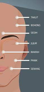 Salah satu tanda orang yang sedang berbohong adalah dengan memalingkan wajah dari lawan bicara, namun ini bergantung dari budaya yang ada. Cara Mengetahui Pasangan Berbohong Selingkuh Dari Ekspresi Wajah Berita Teknologi Terbaru