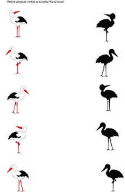 A fák és madarak napjára. Egyenlotlenseg Sut Solyom Jatek Madarak Seapattayataxi Com