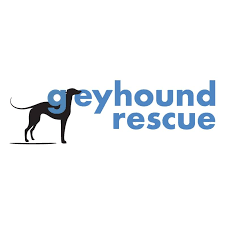 800 likes · 10 were here. Greyhound Rescue Home Facebook