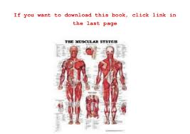 Gift Ideas The Muscular System Anatomical Chart Laminated By