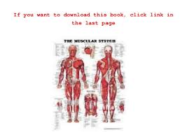 gift ideas the muscular system anatomical chart laminated by