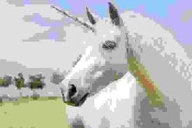 Mano con una vecchia lente d'ingrandimento. Cosa C E Da Sapere Sull Unicorno Animale Mitico E Simbolico