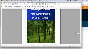 Image result for Open EBook Format