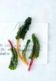Diese zwei sorten mangold gibt es. Mangold Zubereiten Rezepte Infos Tipps Living At Home