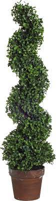Pin By Katie Mcpherson On Diy Curb Appeal In 2021 Spiral Tree Plants Trees To Plant