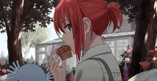 Pin On Mahoutsukai No Yome
