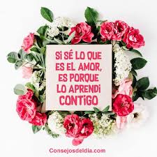 Pin En Frases Con Fotos