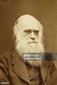 595 Charles Darwin Portrait Stock Photos, High-Res Pictures, and Images