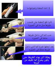 قصص نيك محارم يمنية: شرح مصور تعليم نيك الطيز