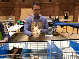 If it replies with a yes, ask what messages it has for you. Canton Nc Guinea Pig Show Draws Cavy Enthusiasts From Across Us