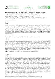 Image result for Gastrodia rwandensis