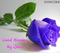 I hope my day becomes as beautiful and productive as my beautiful wife is. Good Morning My Queen With Blue Rose Images Beautiful Flowers Wallpapers Rose Seeds Green Rose