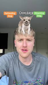 DanWaffling (@danwaffling)'s videos with original sound