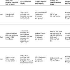 Image result for Croton steenkampianus