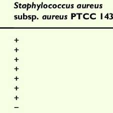 Isolation of lactic acid bacteria from raw milk. Pdf Isolation Of Probiotic Bacteria From Raw Camel Milk And Their Antagonistic Effects On Two Bacteria Causing Food Poisoning