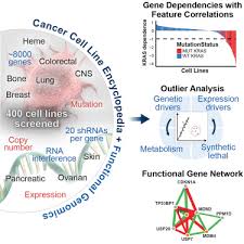 Dave schlabach custom homes inc. Project Drive A Compendium Of Cancer Dependencies And Synthetic Lethal Relationships Uncovered By Large Scale Deep Rnai Screening Sciencedirect