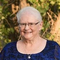 Patricia Jane Hostetler Obituary (2022)