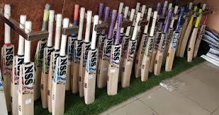 Online Cricket Store Near Me In 2020 Cricket Store Cricket Cricket Bat