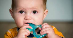 Wann ein baby beikostreif ist, unterscheidet sich von baby zu baby. Beissringe Fur Babys Und Andere Wirksame Zahnungshilfen Familie De