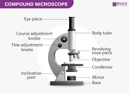 An example of a microscope with an iris diaphragm. Compound Microscope Parts Of Compound Microscope