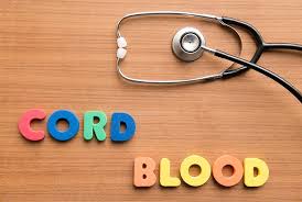 No, umbilical cord blood cells are taken from the baby's umbilical cord and placenta after the baby is born, and not from an embryo. Umbilical Cord Blood Banking Explained Sanford Health News