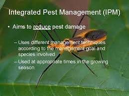 To develop collection management practices that are consistent with city, state, and federal health safety. Pests And Pest Control Pests Any Troublesome Destructive