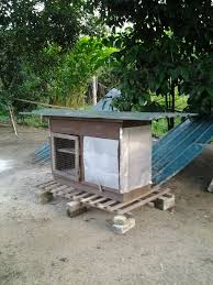 Dua pelajar btec higher national diploma. Reban Anak Itik Penelur Halim Bin Khalid