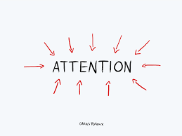 You Become What You Focus On What You Pay Attention To Influences By Darius Foroux Medium