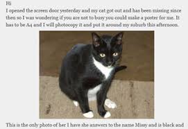 I was walking across a bridge, over a river that was in flood, when i heard mewing and saw a frantic cat being pulled along by the raging torrent. Lost Cat Email Thread Gallery