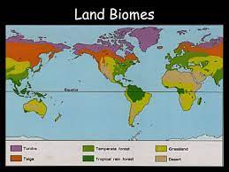 Deciduous Forest Location Map Animals Of The Temperate Deciduous Forest