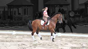 Isabell werth and bella rose. Isabell Werth Dressage Youtube