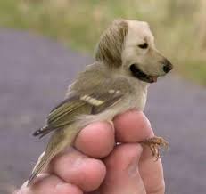 La vida es una cancion...♫: Cosas raras...