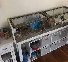 Diy Lid For Ikea Detolf Hamster Cages Hamster Cage Hamster Tank