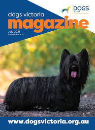 Puppyspot spends millions of dollars on a rigorous, proprietary screening and compliance program which screens breeders for standards that go significantly above and beyond federal and state regulations. Dogs Victoria Magazine July 2021 By Dogs Victoria Issuu