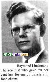 Raymond Lindeman's Instagram, Twitter & Facebook